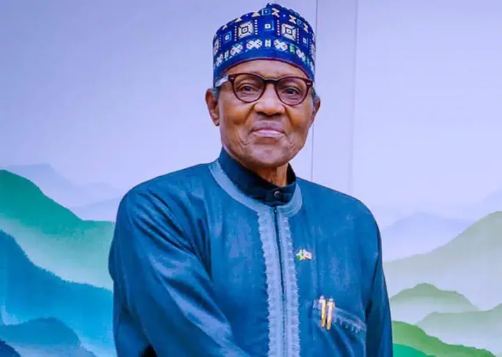 Buhari apologizes to those his administration caused pain