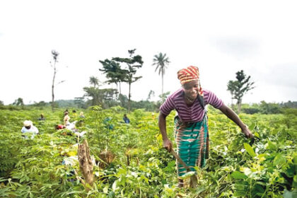 women-farmers