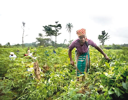 women-farmers