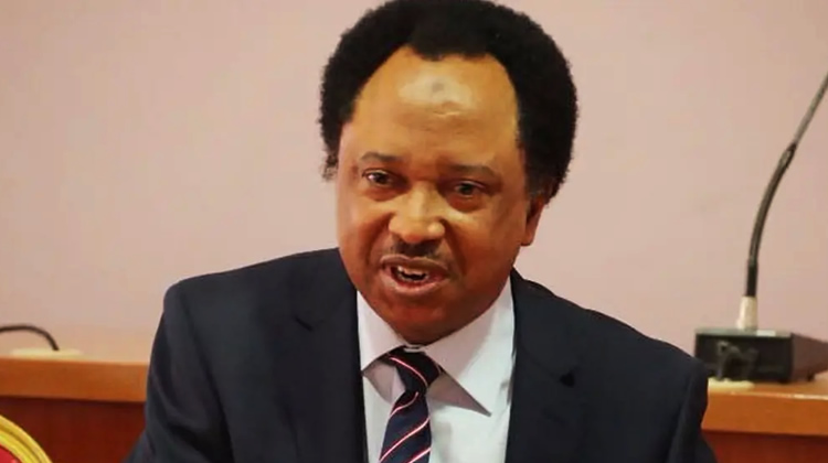 Shehu Sani1