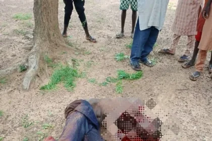 Police kill bandit, recover AK-47 and 110 live ammunition in Katsina