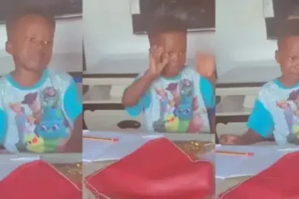 "Mummy calm down for me" - Hilarious exchange between mom and little son during homework (Video)