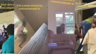 Students unlock their inner 'Spider-Man' to sneak into class after coming late, video causes buzz