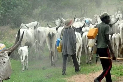 BREAKING: Panic As Herdsmen Ambush Team Of Security Operatives After Killing Farmer