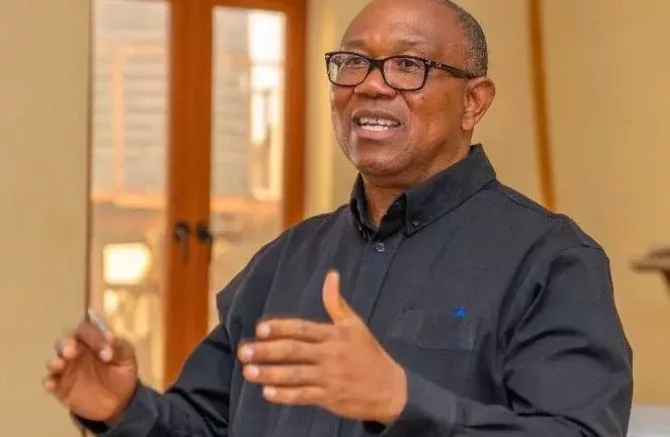 Provision of N15bn for the construction of a new residence for the VP is disheartening -Peter Obi