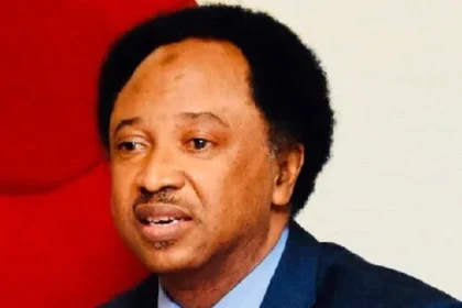 Suspension: Why opposition lawmakers cannot speak - Sani reveals what Ningi will lose