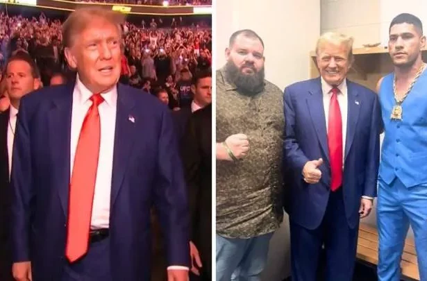 Donald Trump gets standing ovation at UFC tournament days after being convicted of crimes (video)