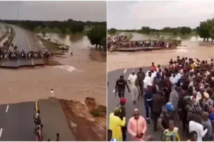 Dramatic moment flood cuts off Kano-Maiduguri Highway