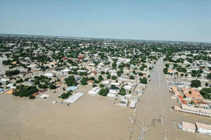 Borno Flood