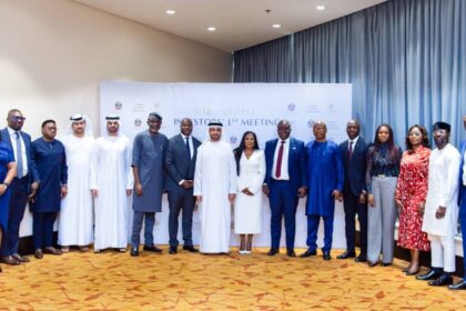 UAE committed to Nigeria's development — Envoy