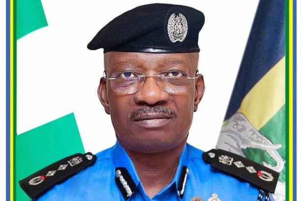 Fainting by suspects in court was staged for attention — IG