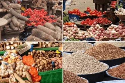 Six Foodstuffs Affected As Customs Begin Implementation Of Tinubu