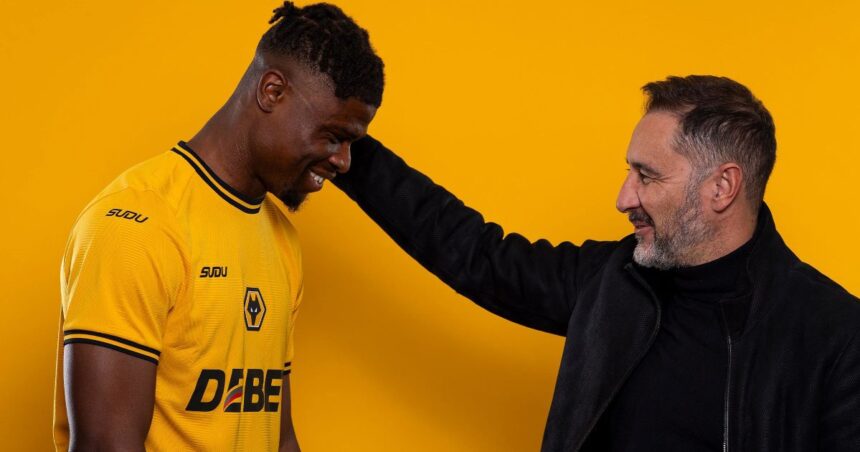 Wolves sign Ivorian defender Agbadou from Reims