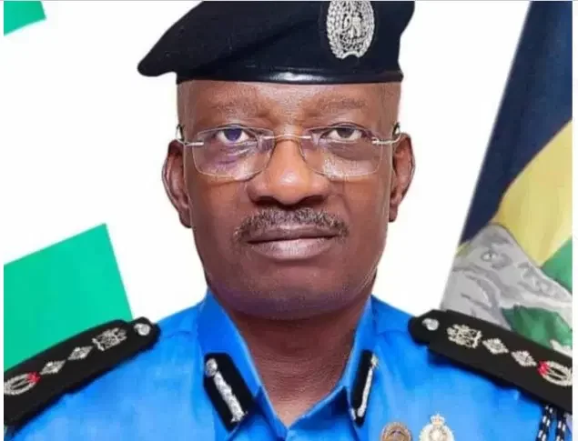 Missing Rifles: IGP writes Senate, requests closed-door investigations