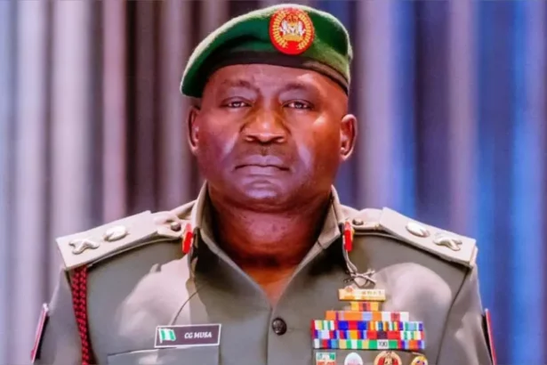Nigeria has a lot to lose if Niger, Mali, Burkina Faso don?t return to democracy - CDS