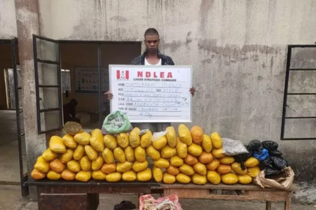 NDLEA Intercepts N6.5bn Opioids In Lagos, Rivers Ports, Arrests Two British Nationals (Photos)