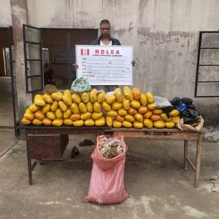 NDLEA Intercepts N6.5bn Opioids In Lagos, Rivers Ports, Arrests Two British Nationals (Photos)