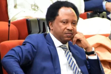 Shehu Sani