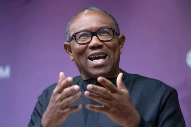 2027: I'll accept coalition's offer to serve one term, hand over to North - Peter Obi