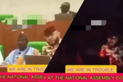 Electricity goes off mid-session at National Assembly