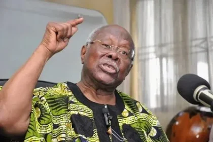 It Is a Fallacy to Say Wike Owns PDP - PDP Chieftain, Bode George