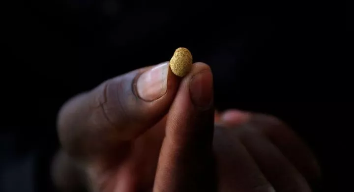 Kenya serves as a hub for smuggled gold from other African countries