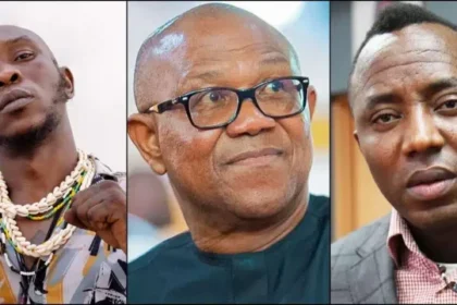 "Sowore is more competent than Peter Obi..." - Seun Kuti