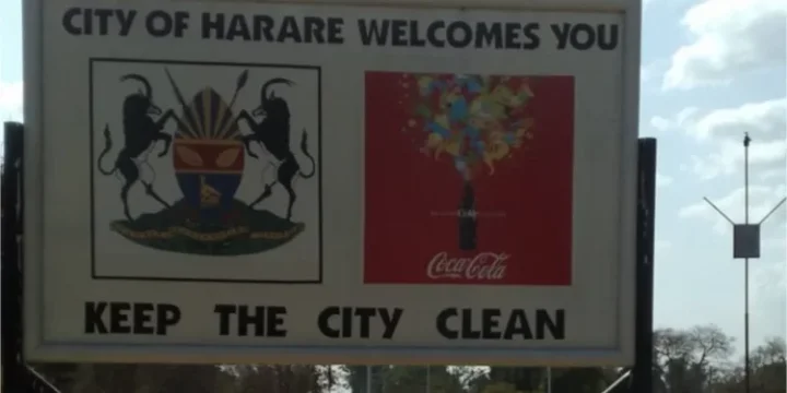 Teenager arrested while trying to sell human foetus as beef