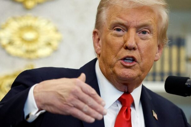 Trump's Board of Peace Explained: Members, Cost, and Goals