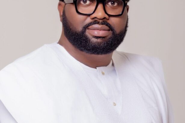 N'Assembly to deliver acceptable electoral reform bill soon