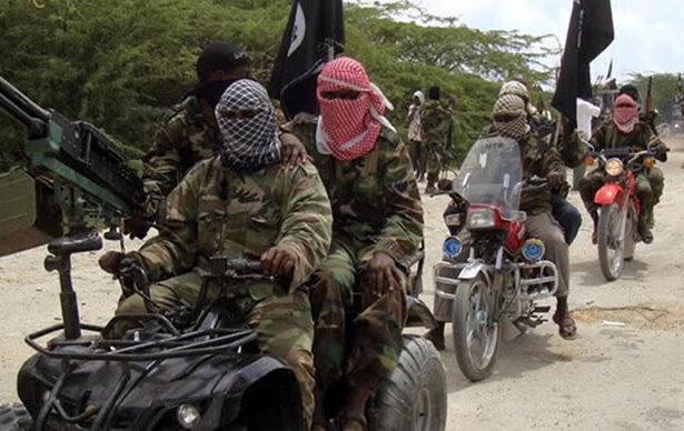 Boko Haram members