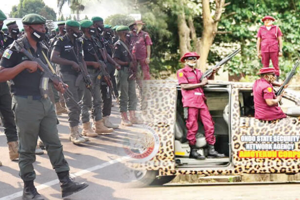 Police and Amotekun